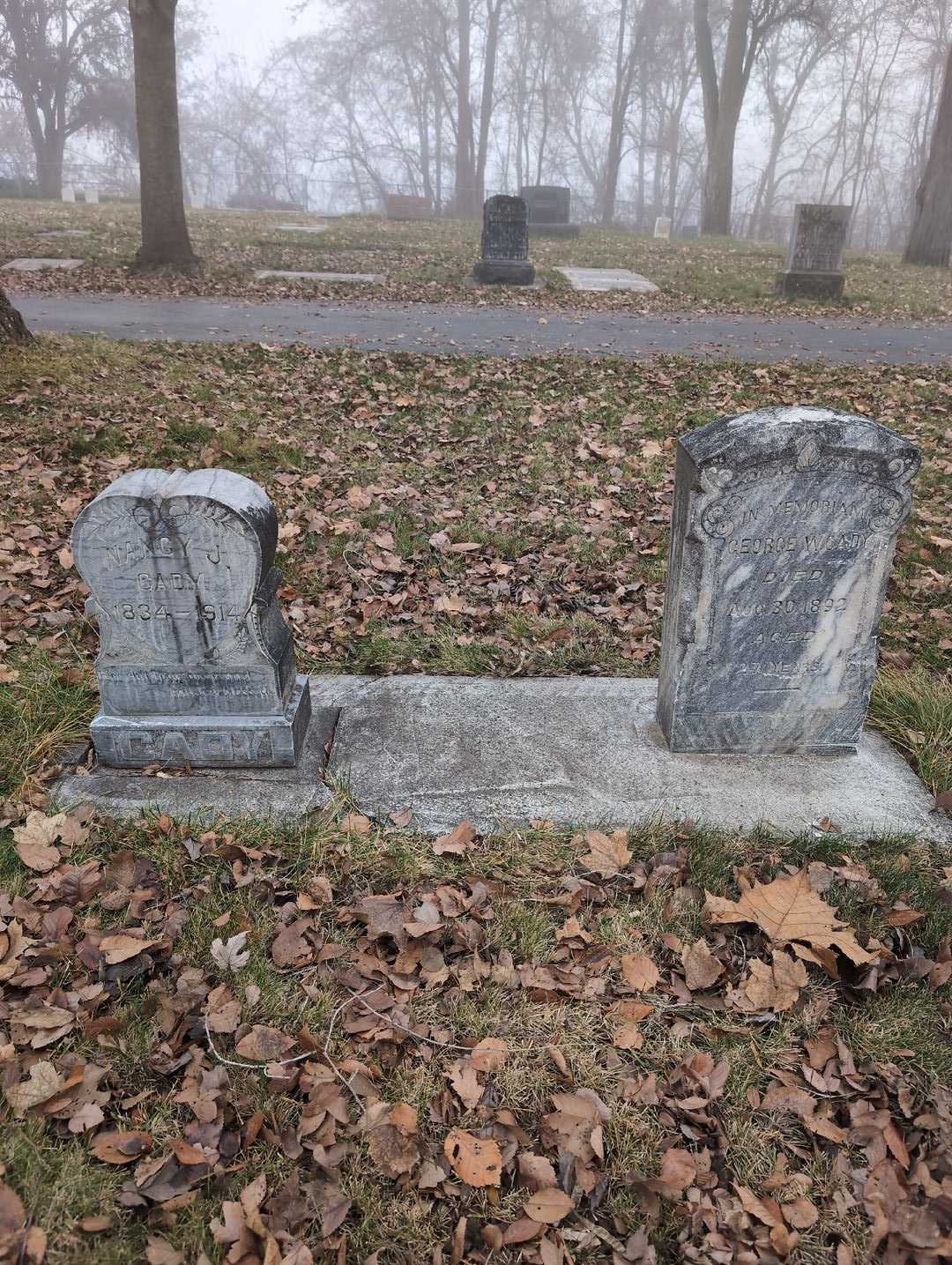 Nancy J. Cady's grave. Photo 1