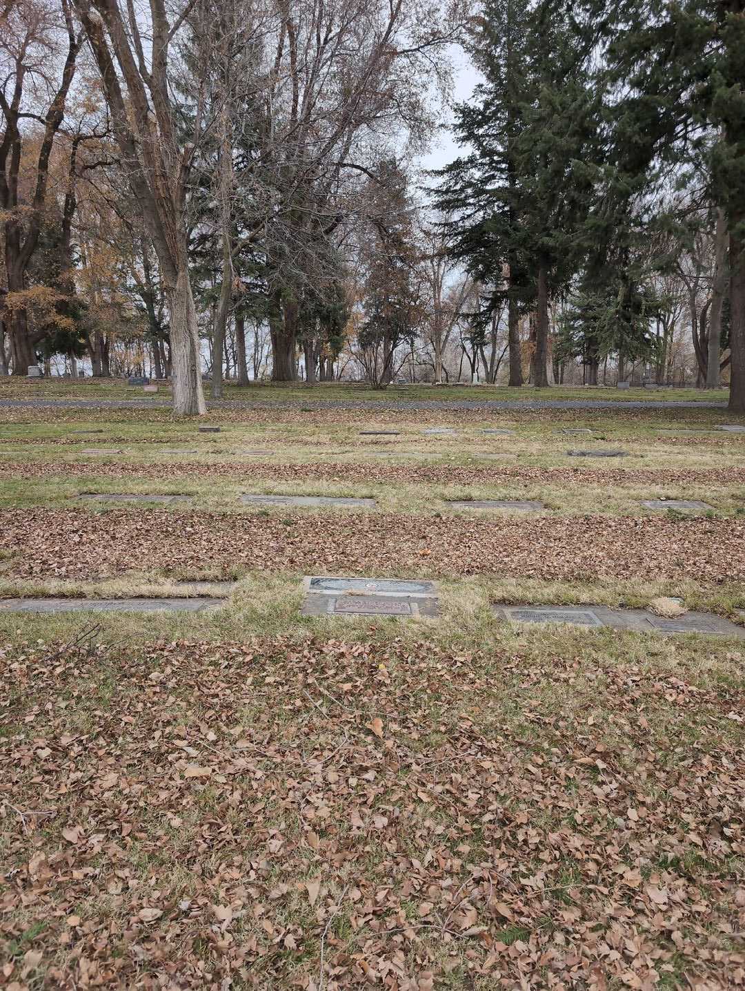Jerry Leroy Hiner's grave. Photo 4