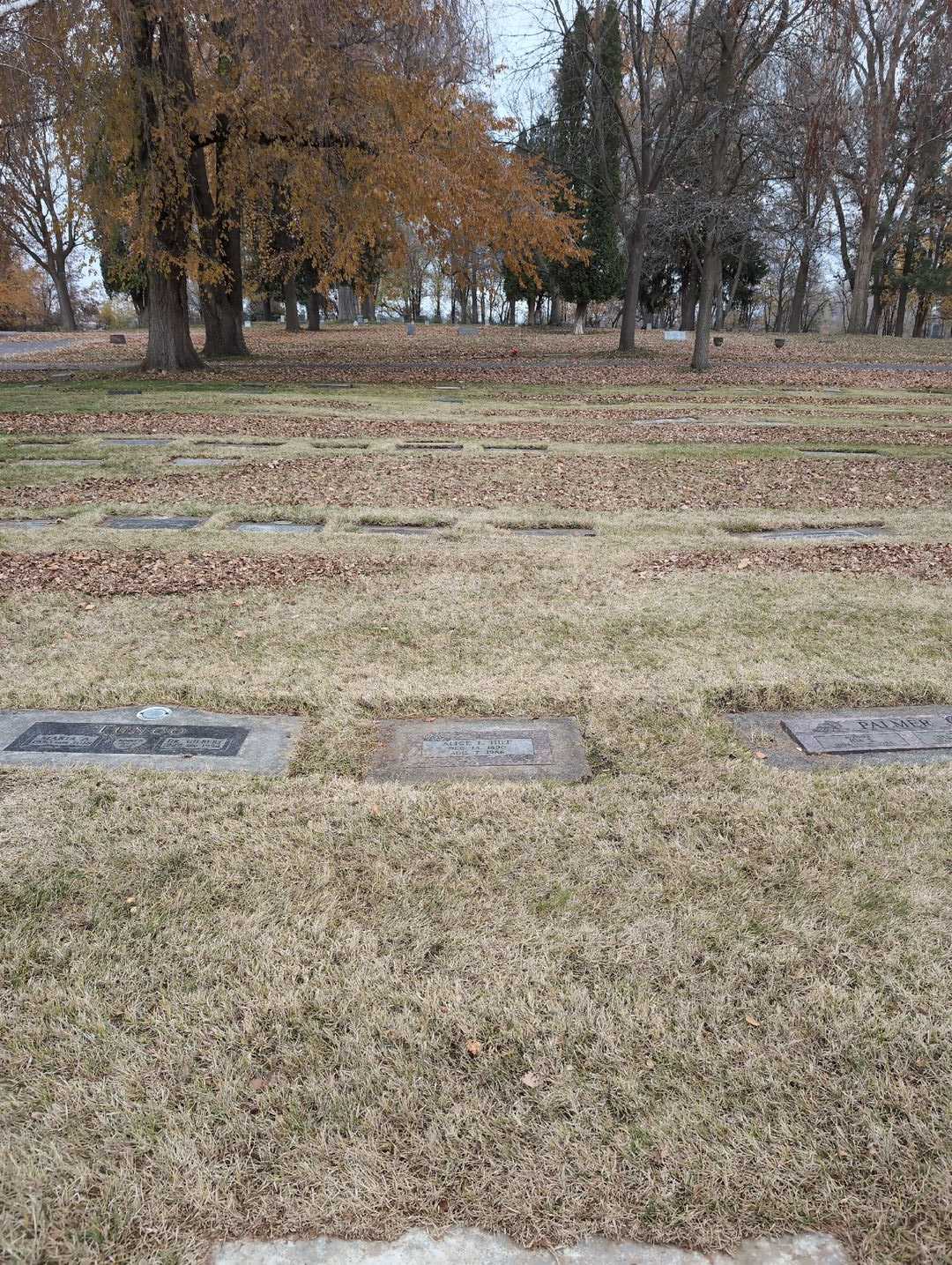 Alice L. Hill's grave. Photo 2