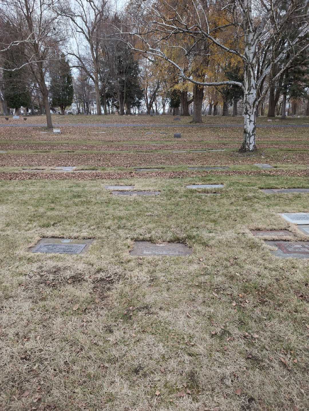 Bror Oscar Person's grave. Photo 2