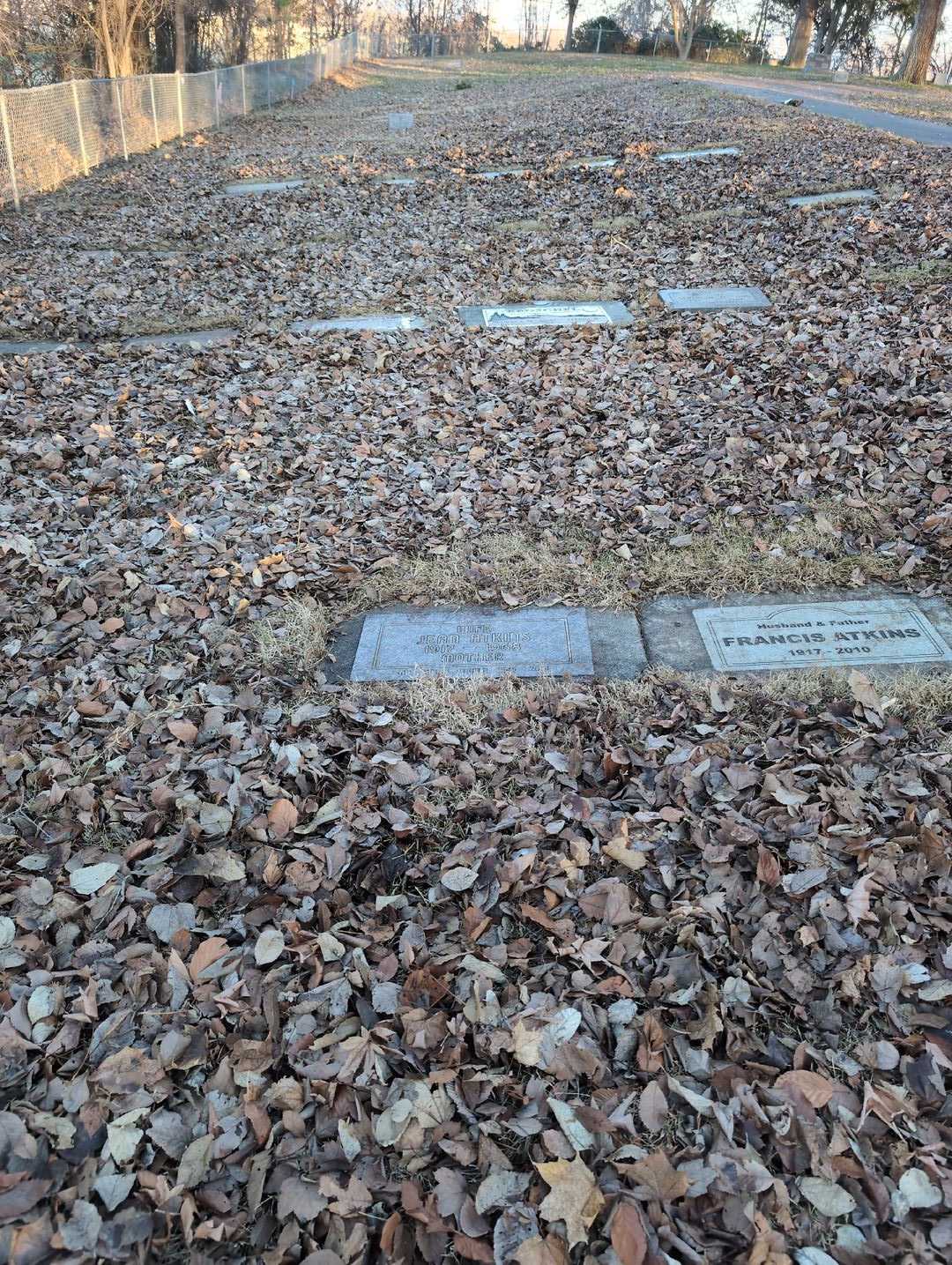 Bruce Atkins's grave. Photo 2