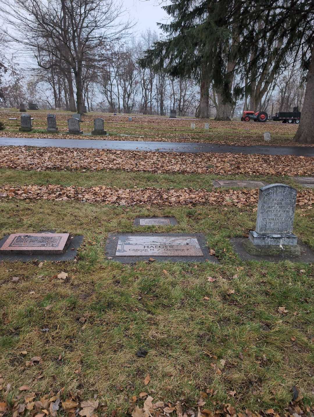 Darlene P. Haeger's grave. Photo 2