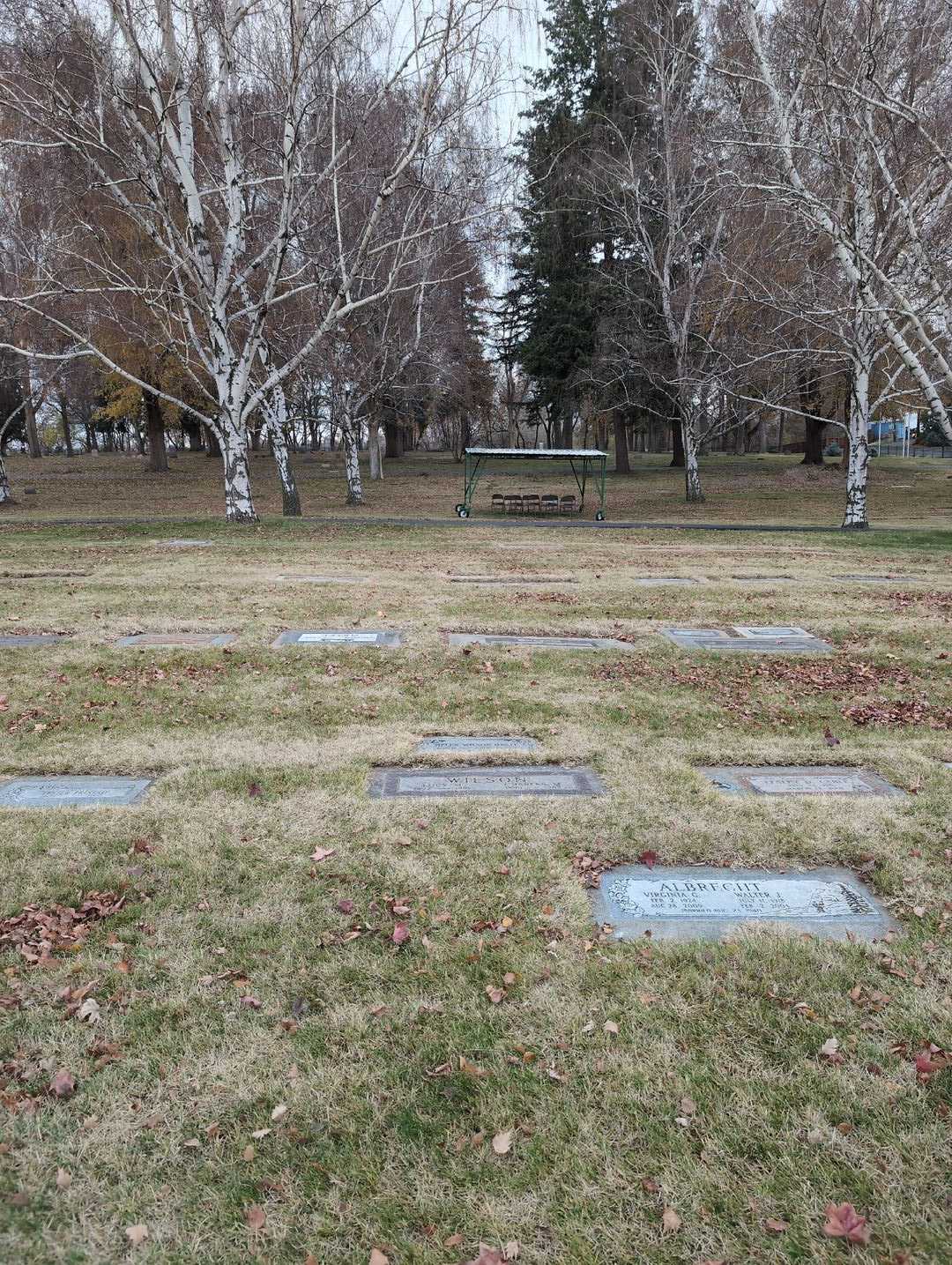 Helen Wilson Haste's grave. Photo 3