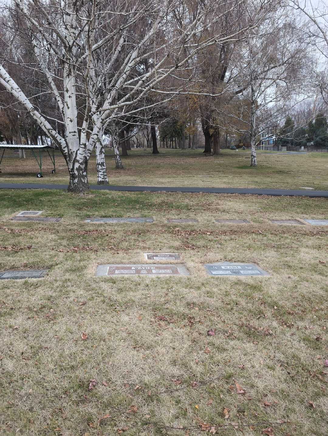 Shirley Lorraine Wade's grave. Photo 3