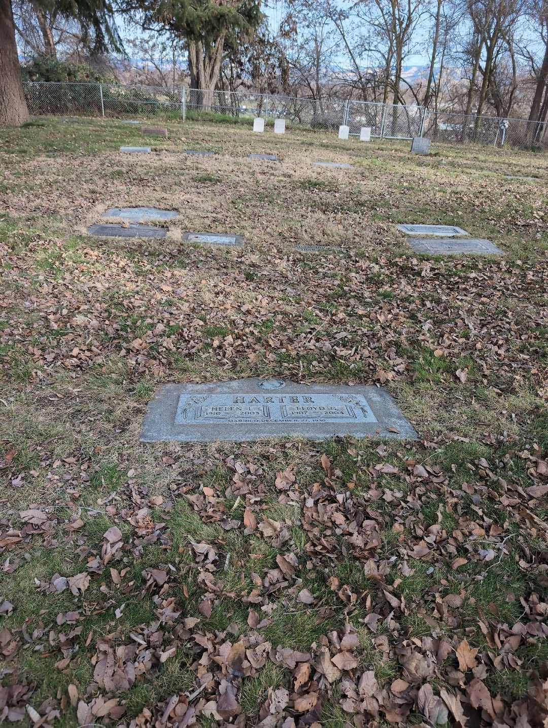 Lloyd G. Harter's grave. Photo 2