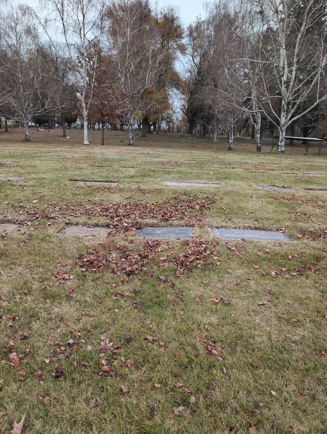 Stephanie Danko-Orlowski's grave. Photo 2