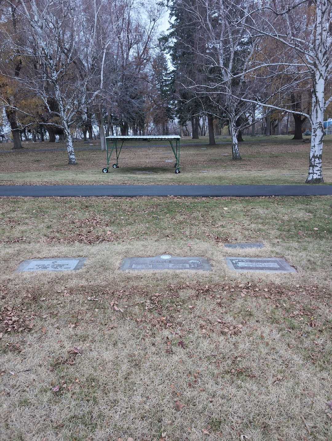 Paul P. Lane's grave. Photo 2