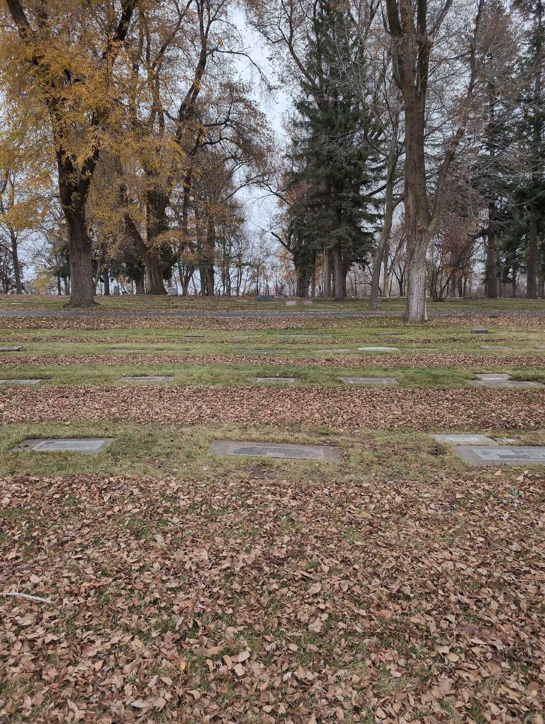Agnes M. Guth's grave. Photo 2