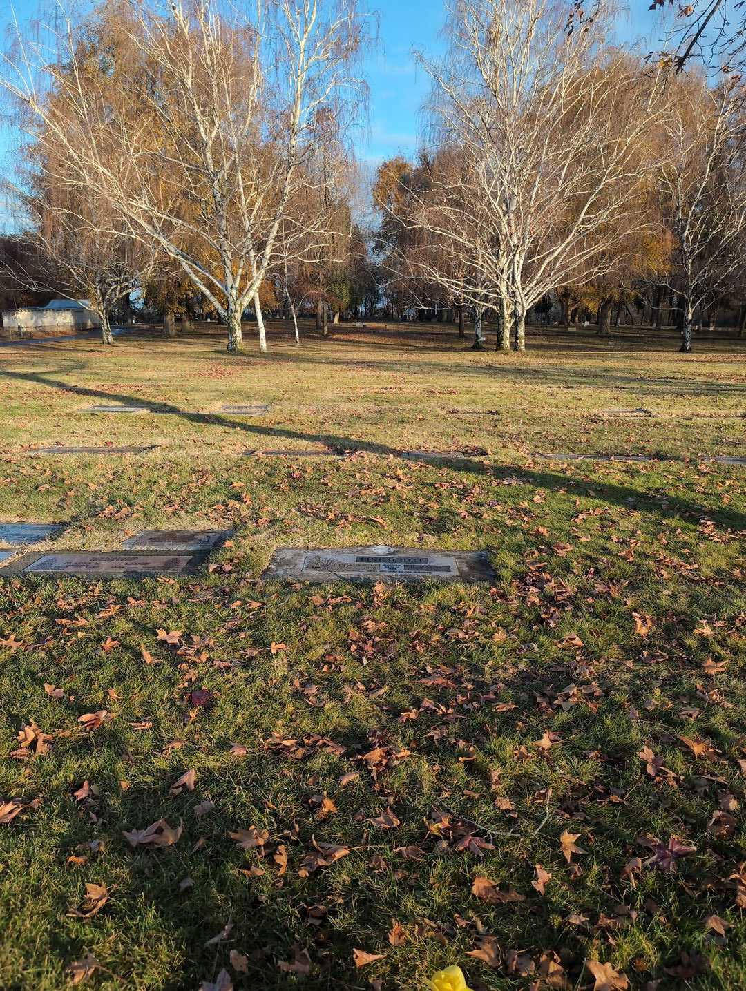 Gladys V. Lingscheit's grave. Photo 2