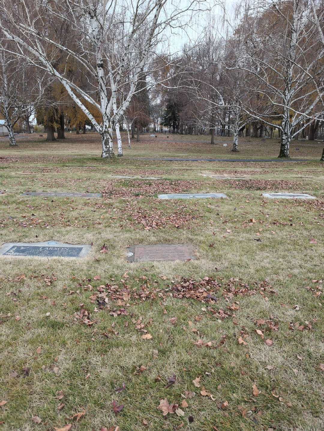 Susan Denice Larson-Hanson's grave. Photo 2