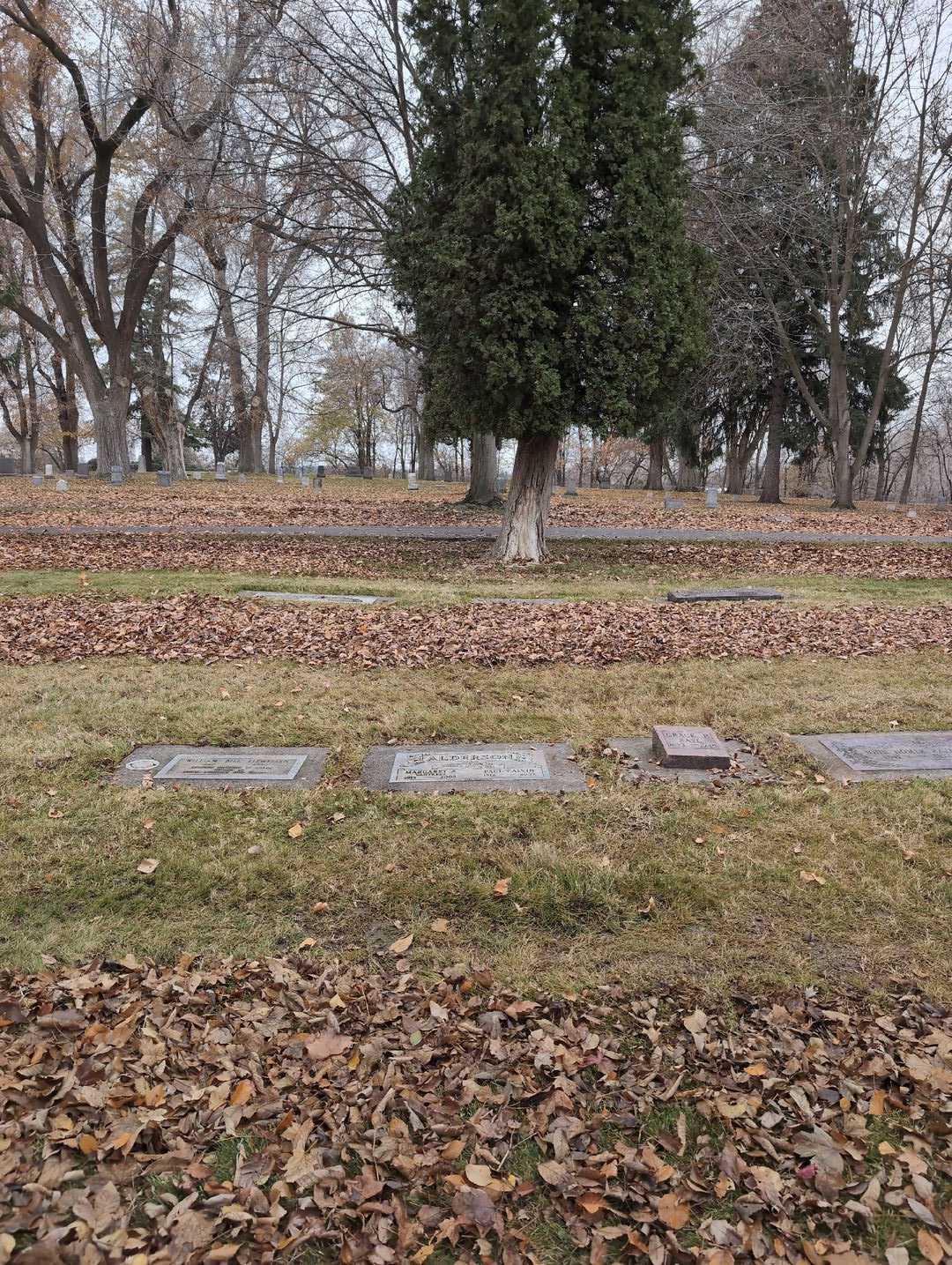 Margaret A. Vantress Alderson's grave. Photo 2