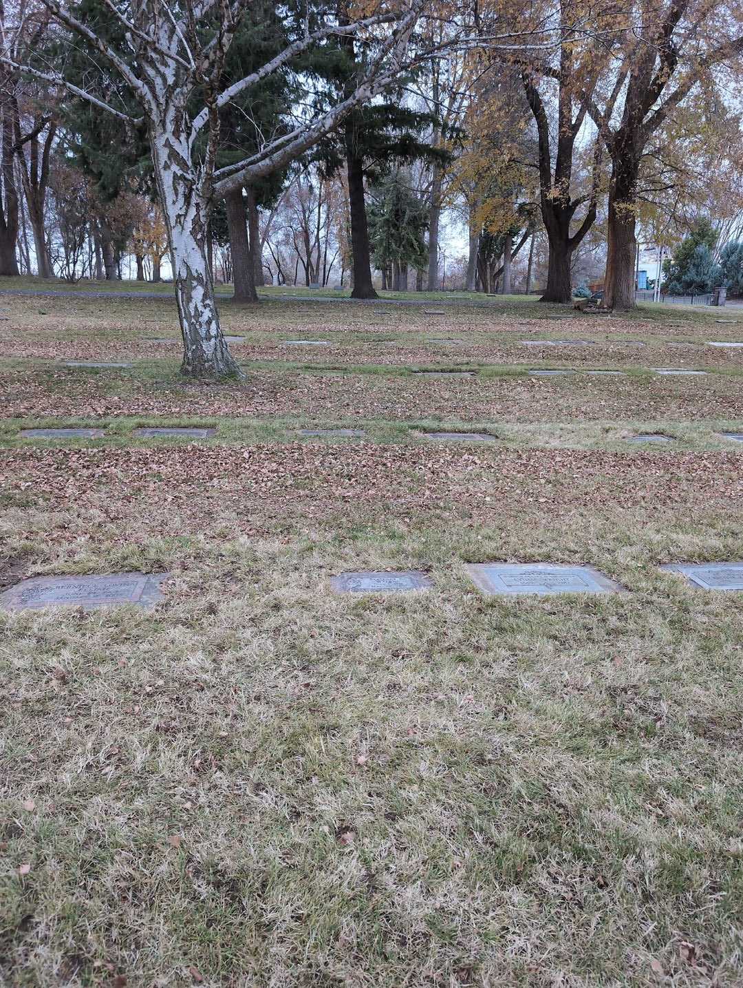 Evelynne F. Wright's grave. Photo 2