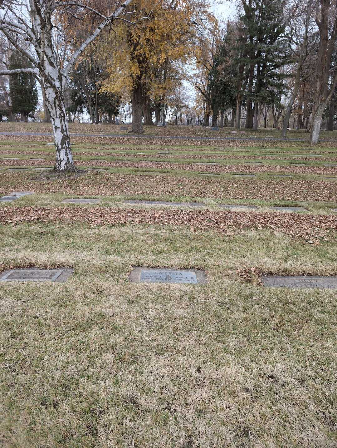 Mabel B. Latsha's grave. Photo 2