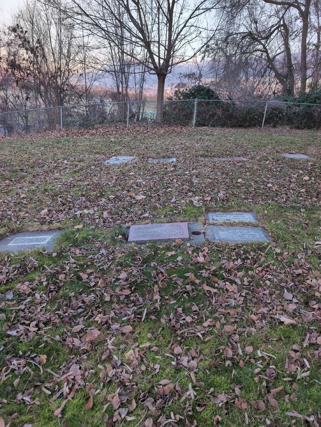James Harold Chastain's grave. Photo 2