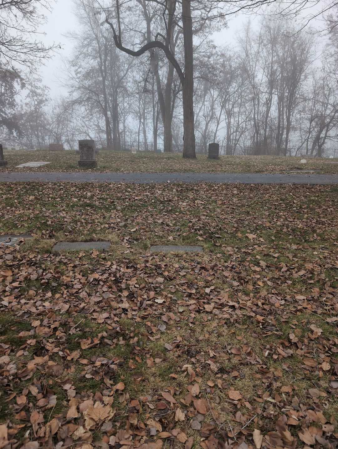 Effie Sittner's grave. Photo 2