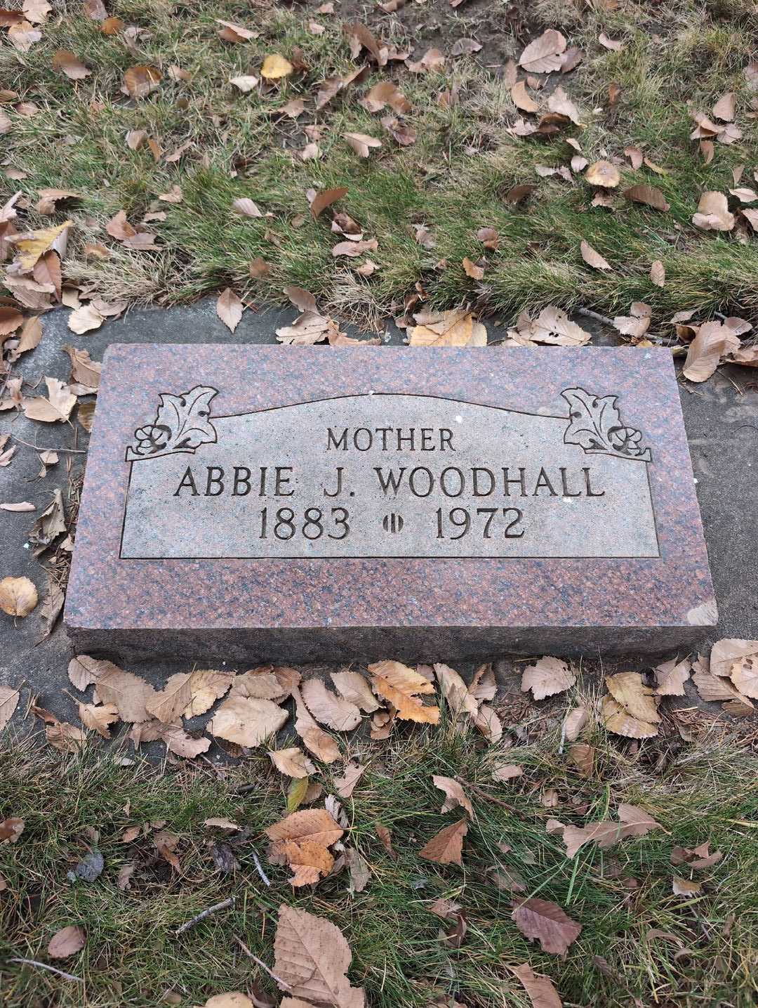 Terry James Van Dyke's grave. Photo 1