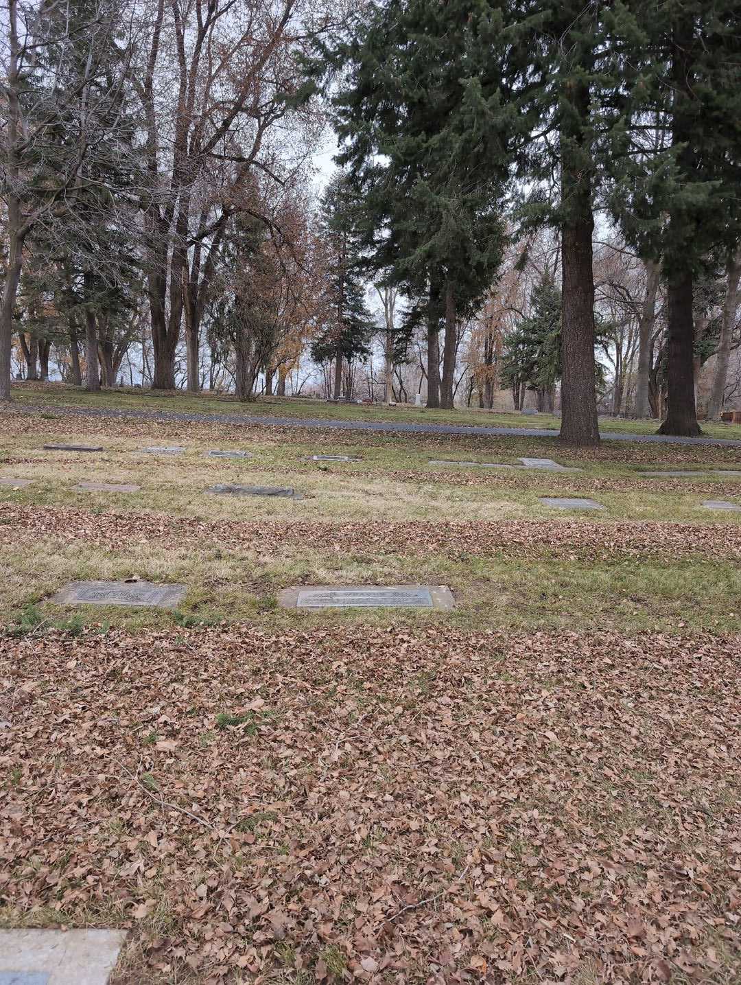 Genevieve Stabler Weaver's grave. Photo 2