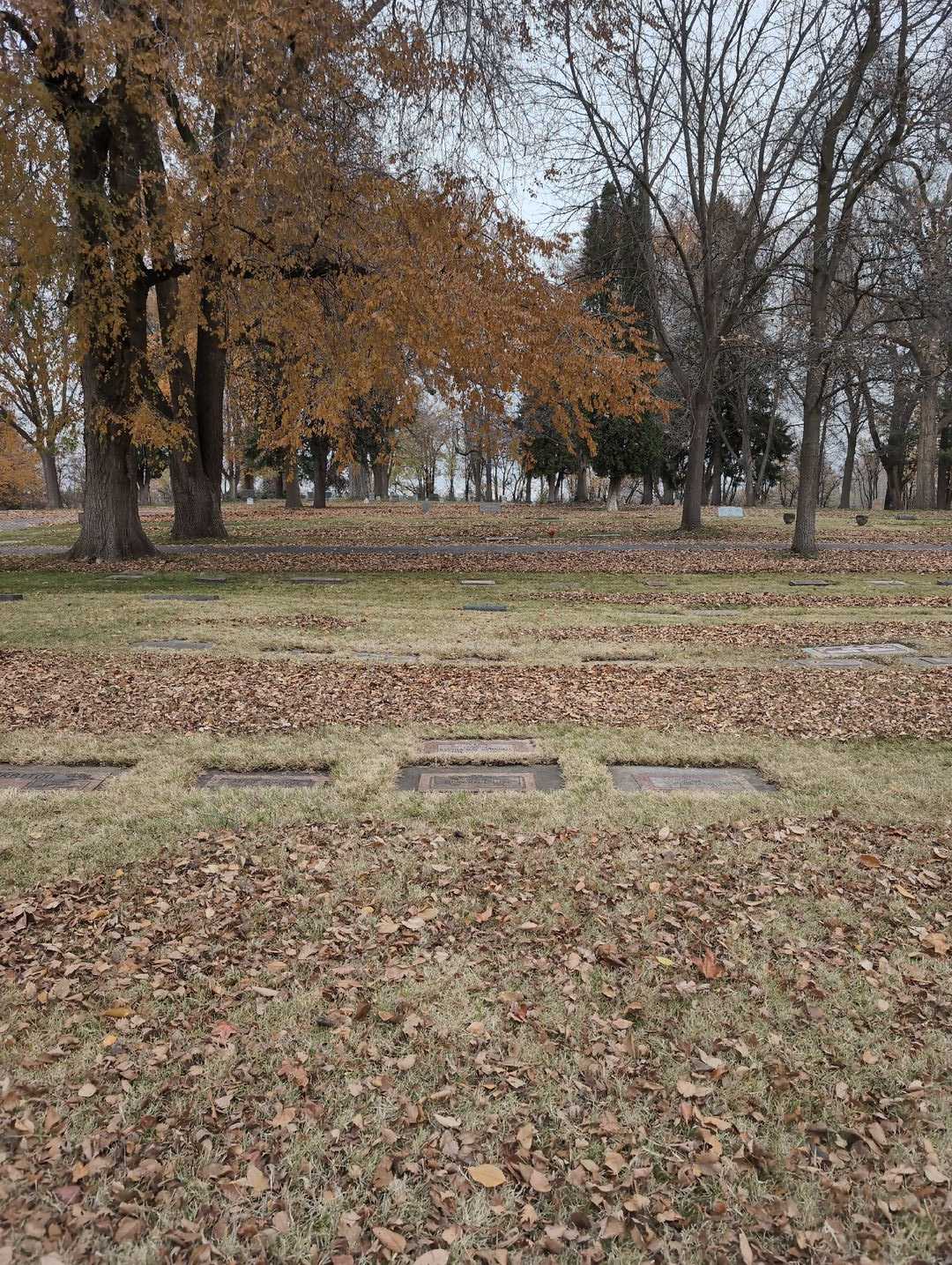 Raytha May O'Connell's grave. Photo 3