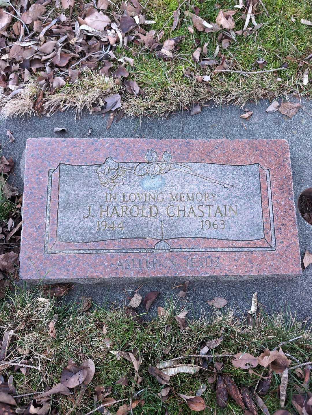 James Harold Chastain's grave. Photo 3