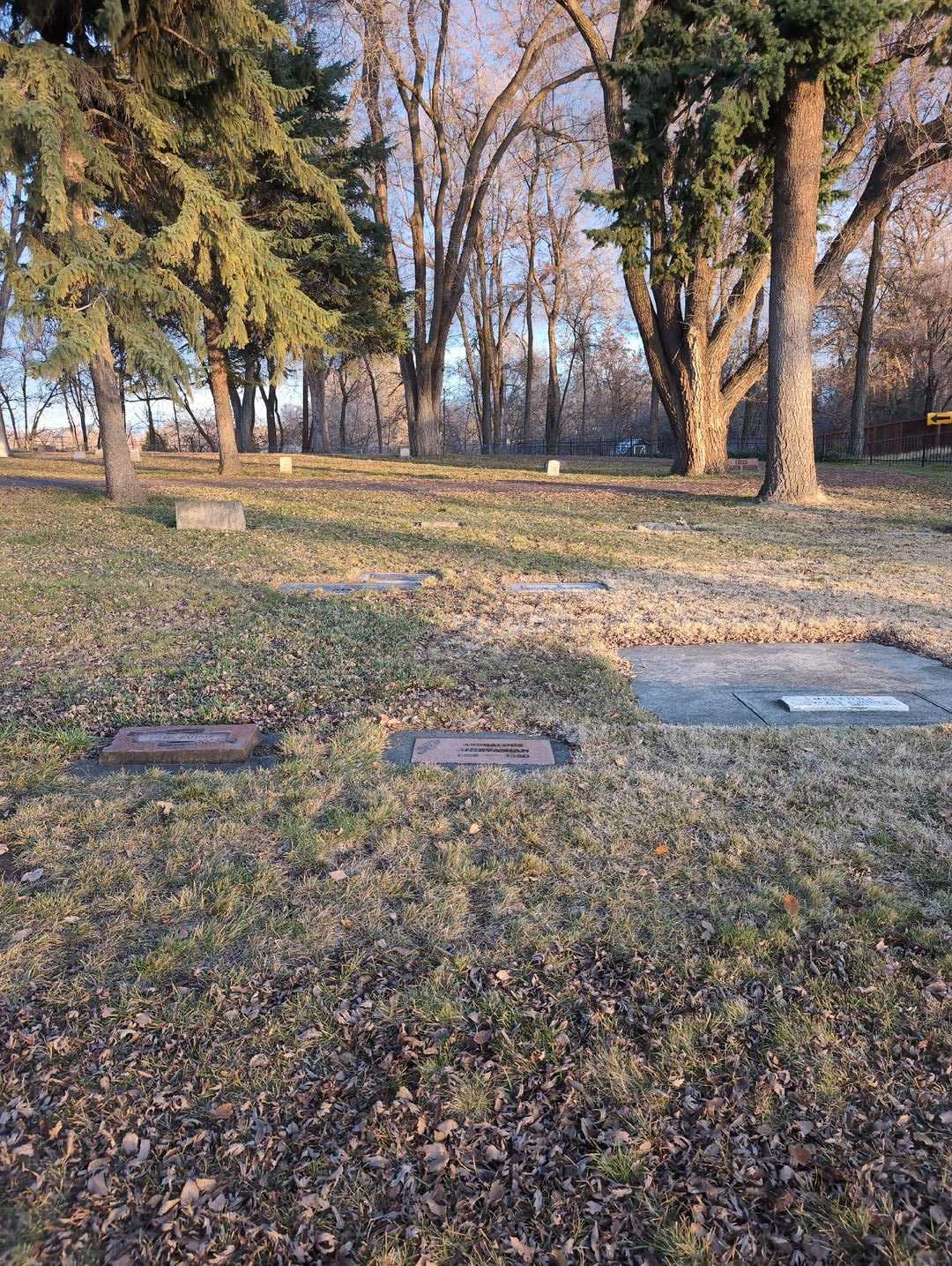 Arshalous Shirvanian's grave. Photo 2
