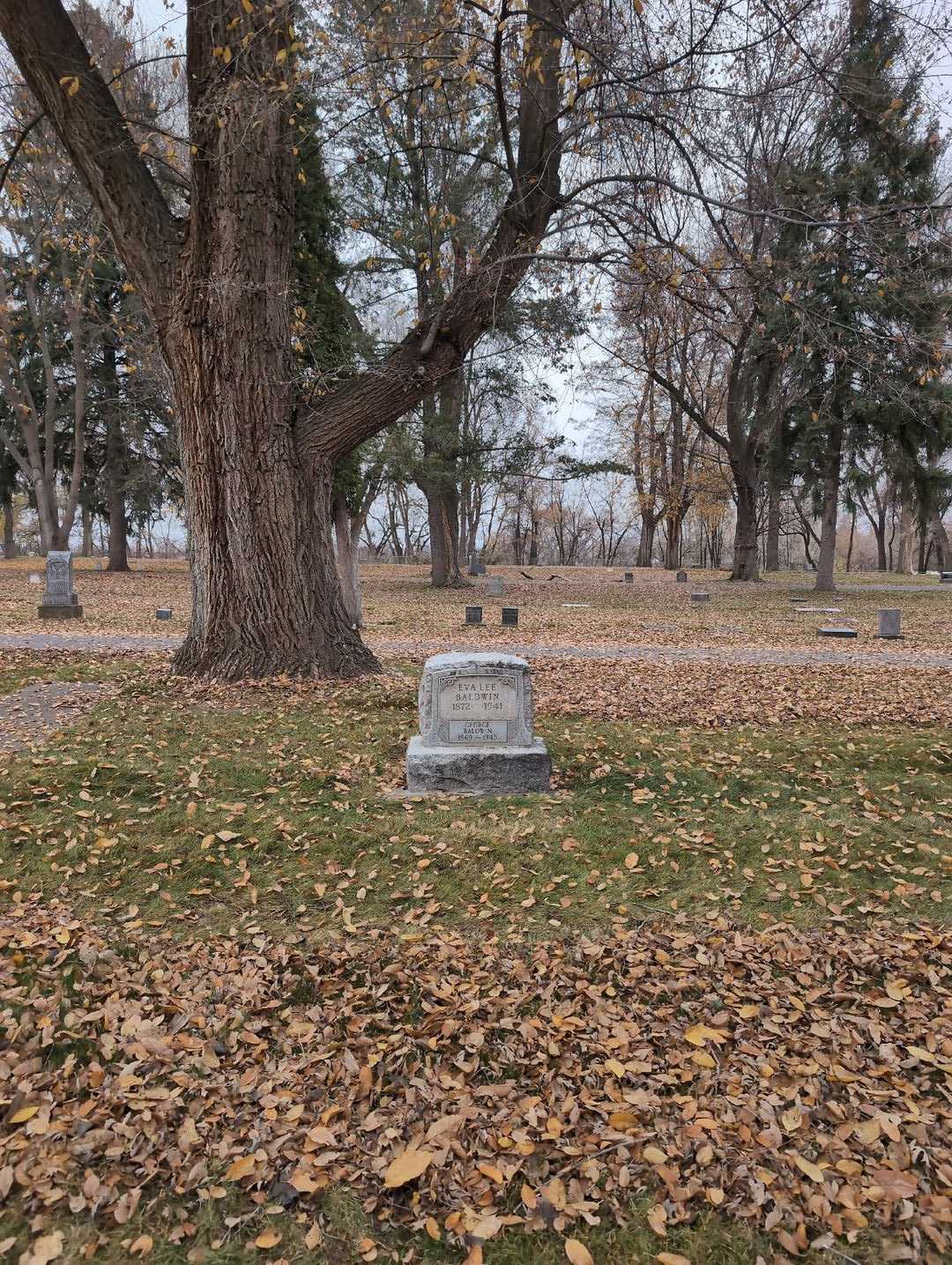 George W. Baldwin's grave. Photo 2