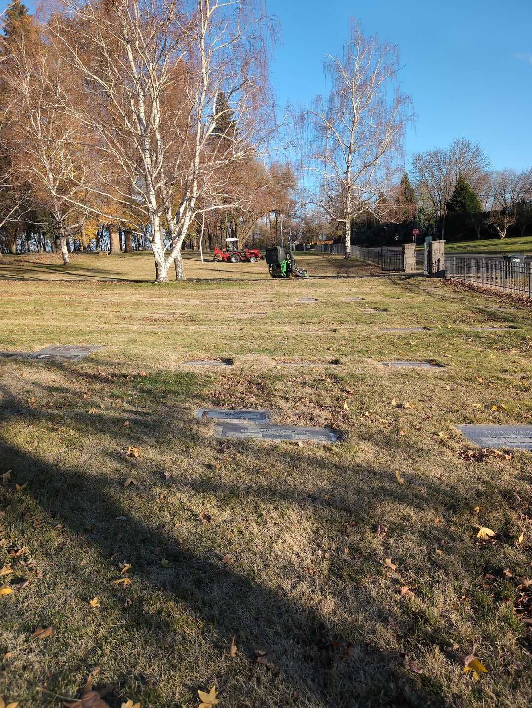 Arlene E. Johnson's grave. Photo 2