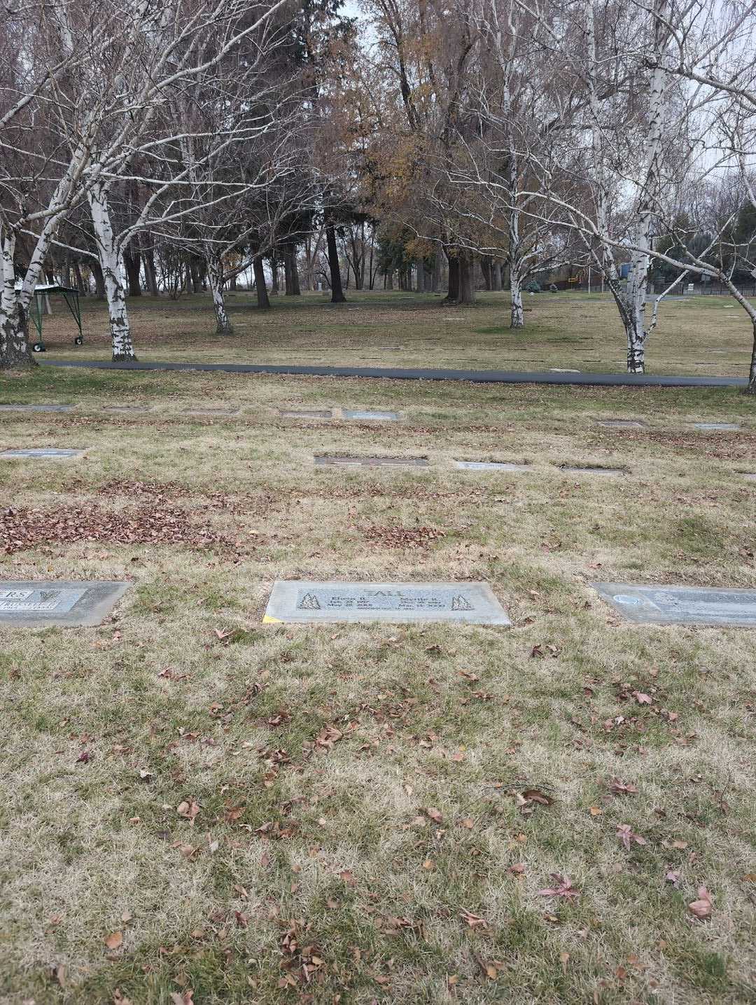 Elwin R. Tall's grave. Photo 2