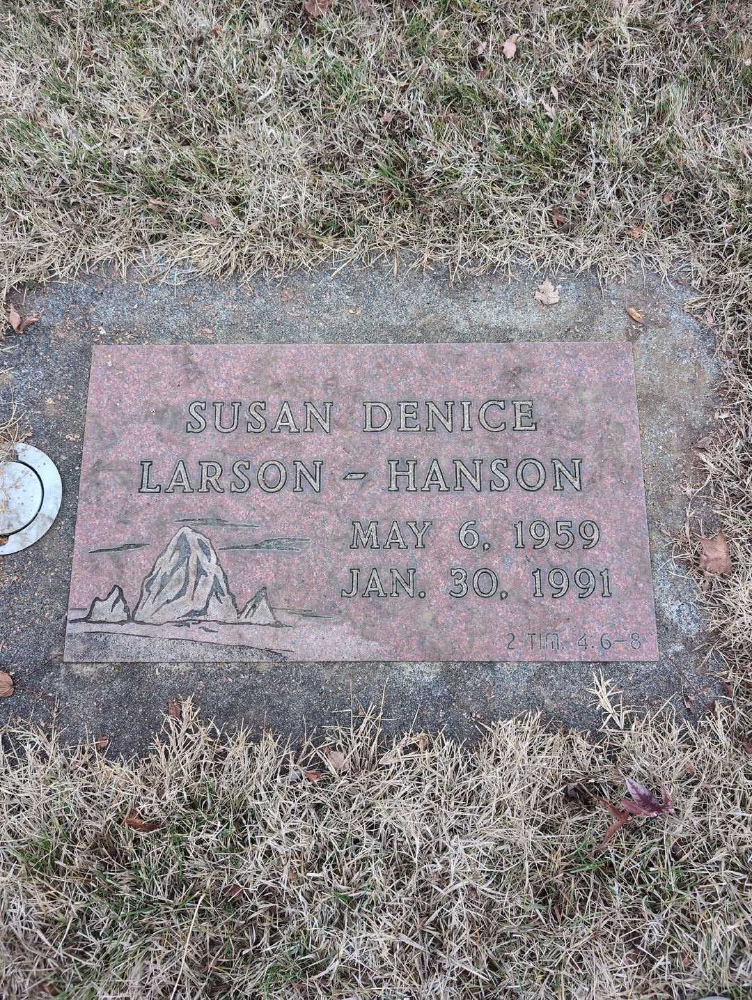 Susan Denice Larson-Hanson's grave. Photo 3
