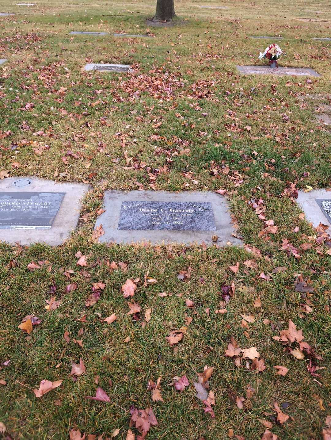 Diane C. Garrity's grave. Photo 2