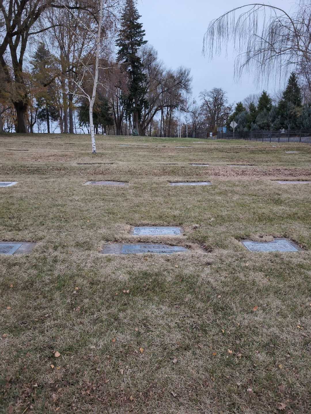 Rickie Lee Kelsay's grave. Photo 2