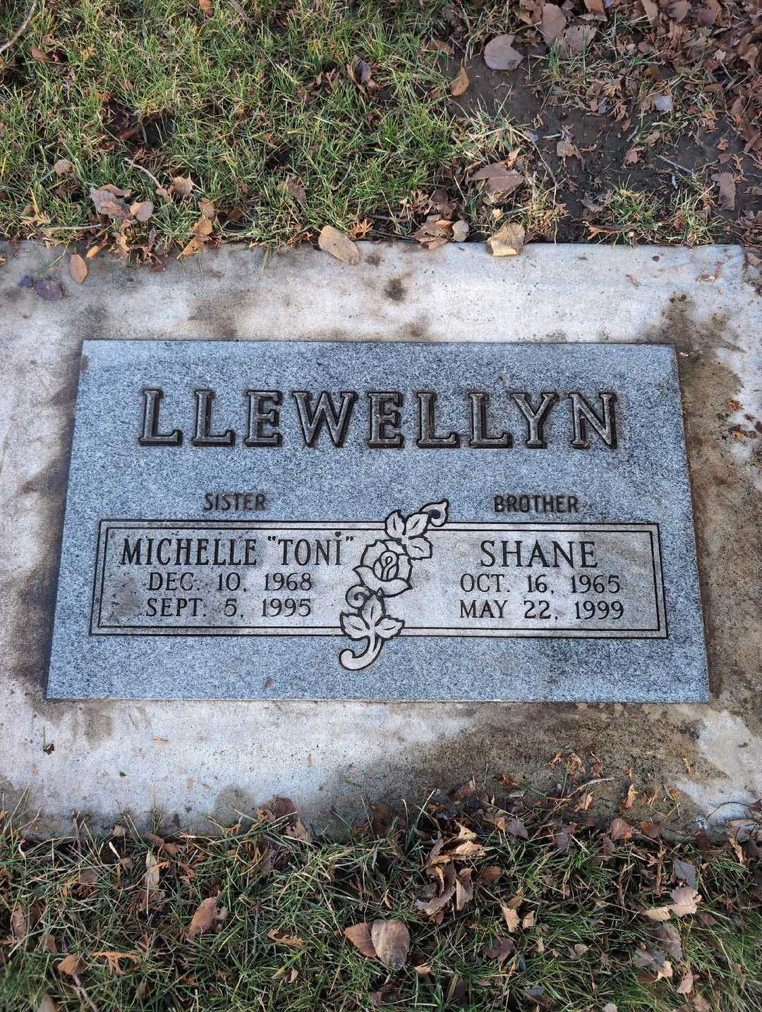 Shane Llewellyn's grave. Photo 3