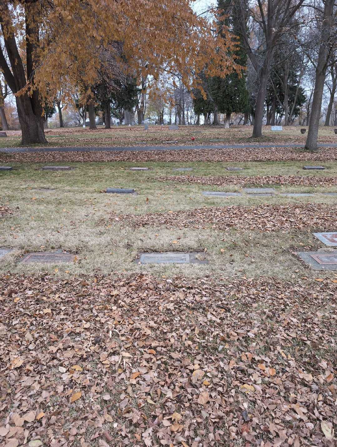 James Q. BoSanco's grave. Photo 2