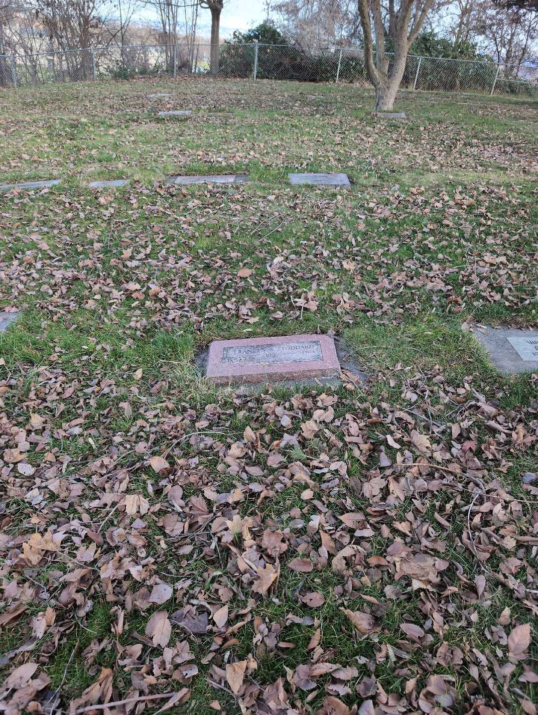 Frances B. Stoddard's grave. Photo 2