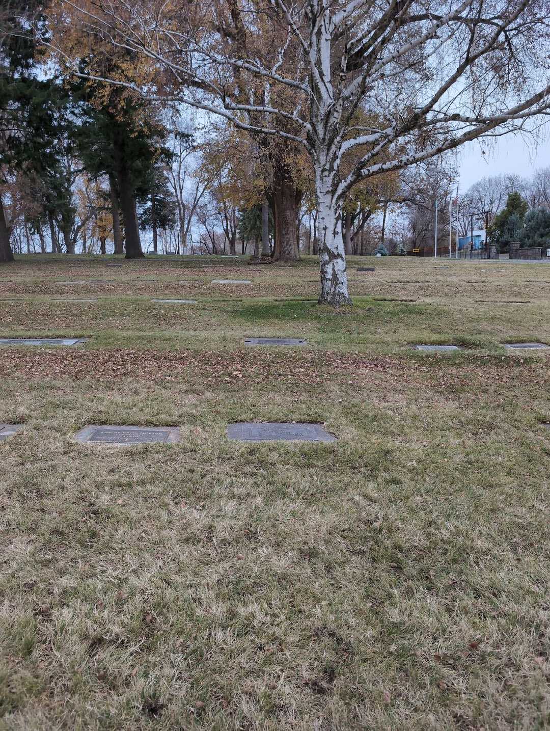 Alice Hazelton's grave. Photo 2
