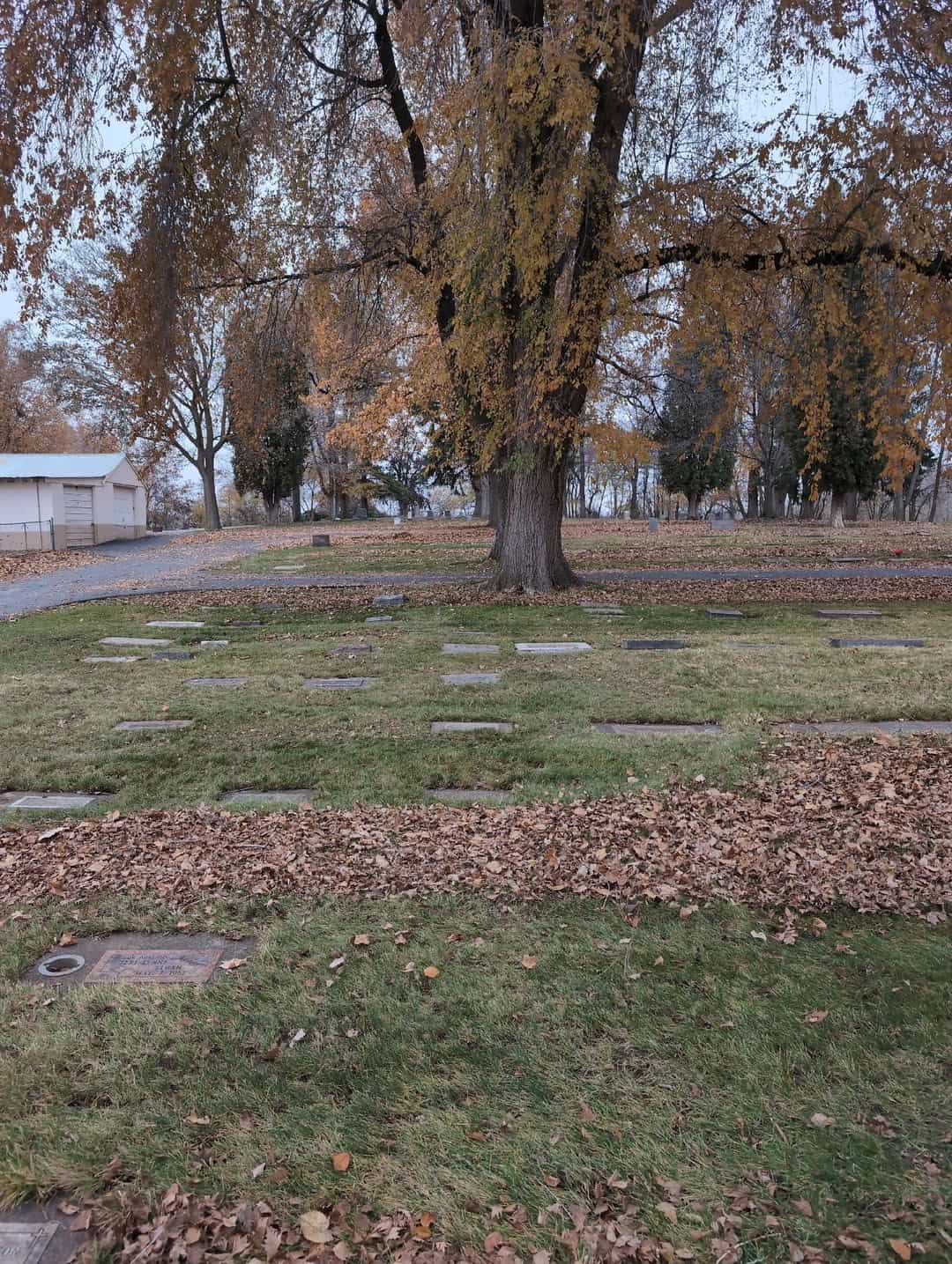 Judith Anne Lutz's grave. Photo 2