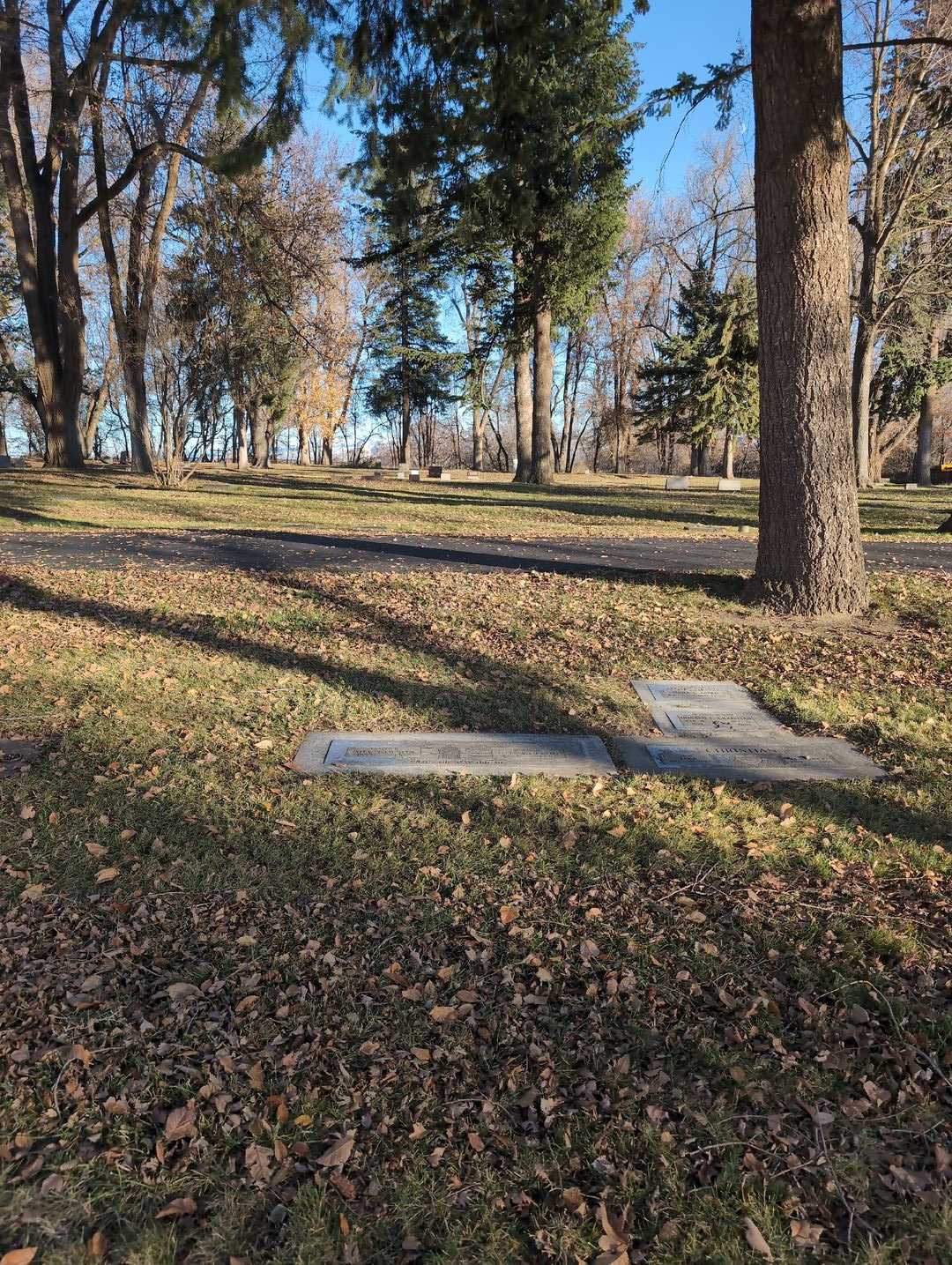 Ole A. Olson's grave. Photo 2