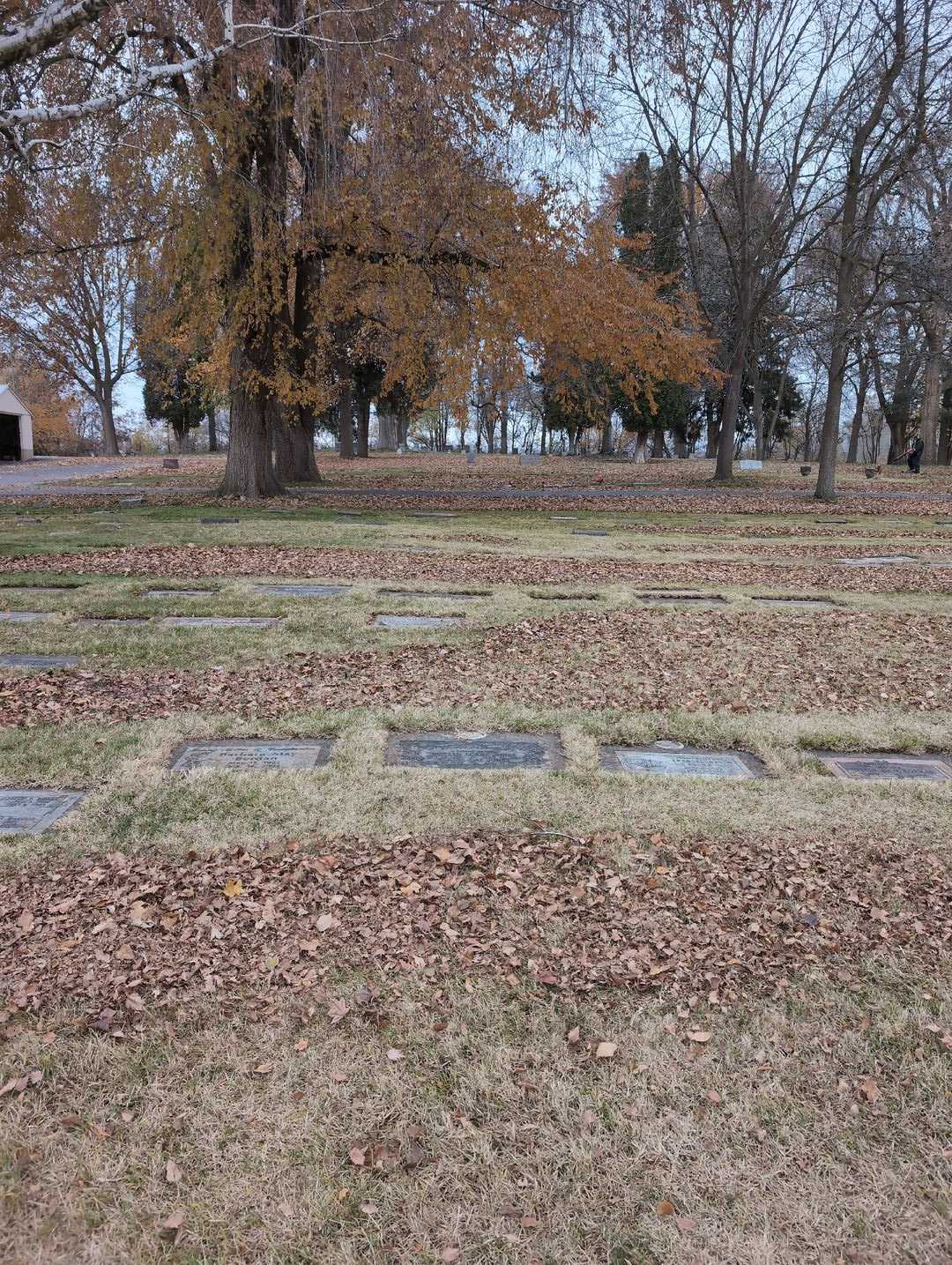 Donald Lorne Jones's grave. Photo 2