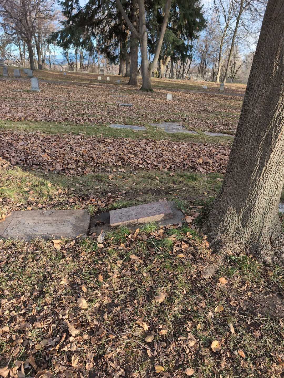 James W. Johnston's grave. Photo 2