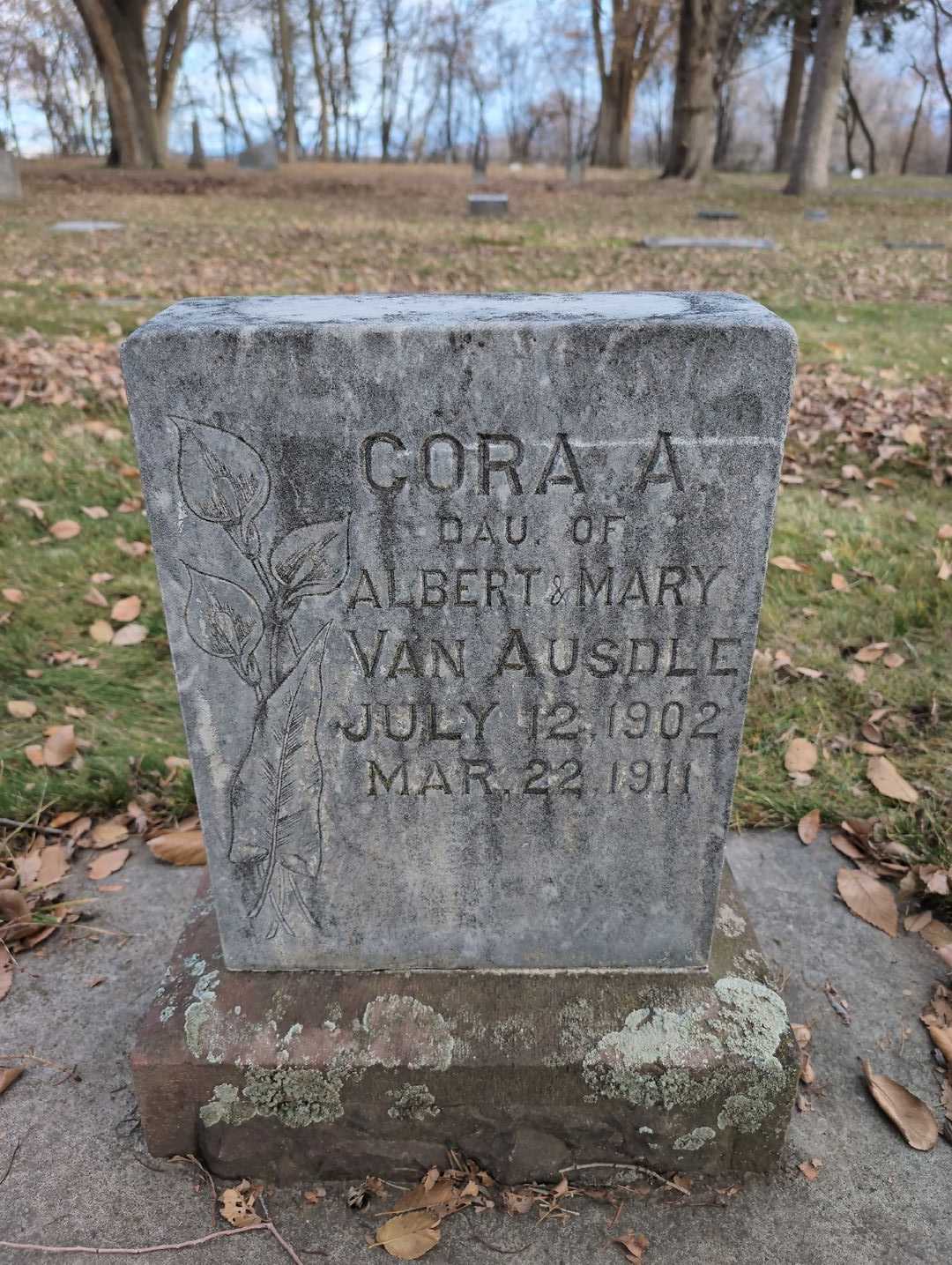 Cora A. Van Ausdle's grave. Photo 3