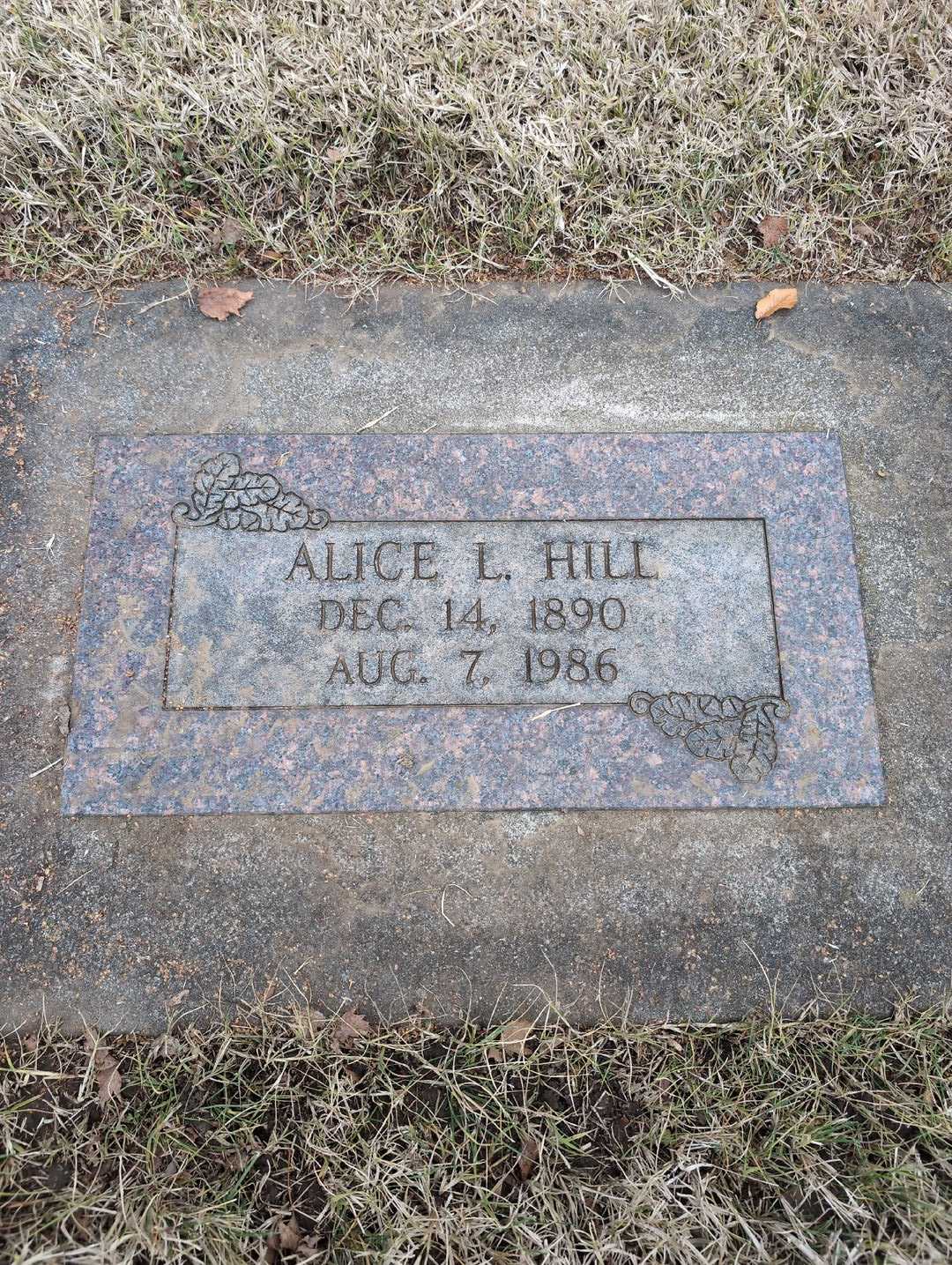 Ida Mae S. Palmer's grave. Photo 1