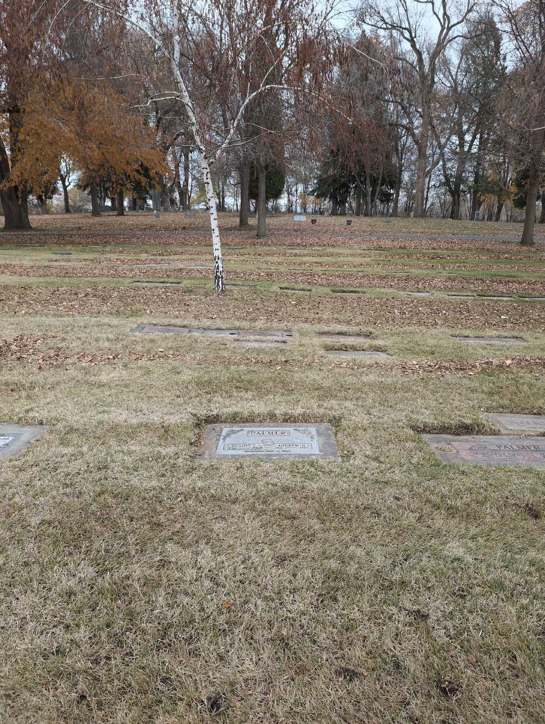 Gladys L. Palmer's grave. Photo 2