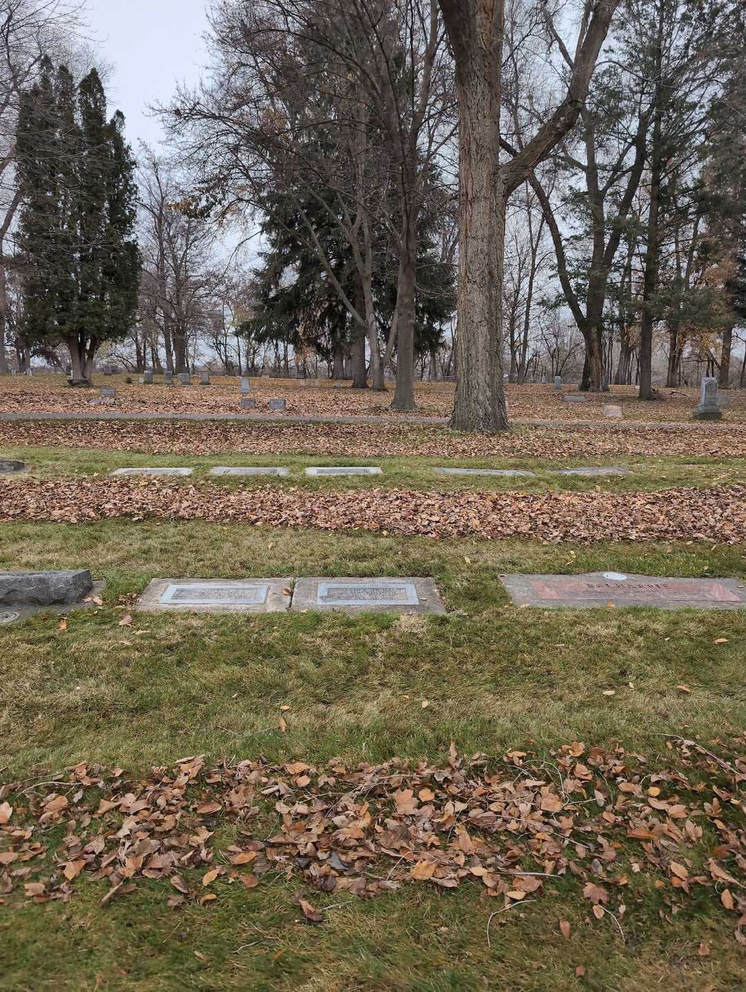 Elder Donald MacKintosh's grave. Photo 2