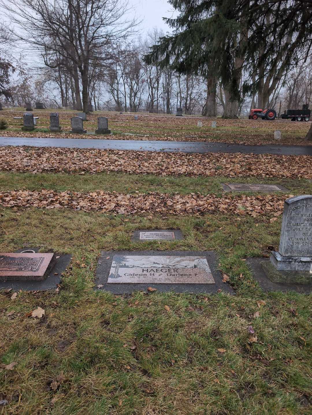 Darlene P. Haeger's grave. Photo 4
