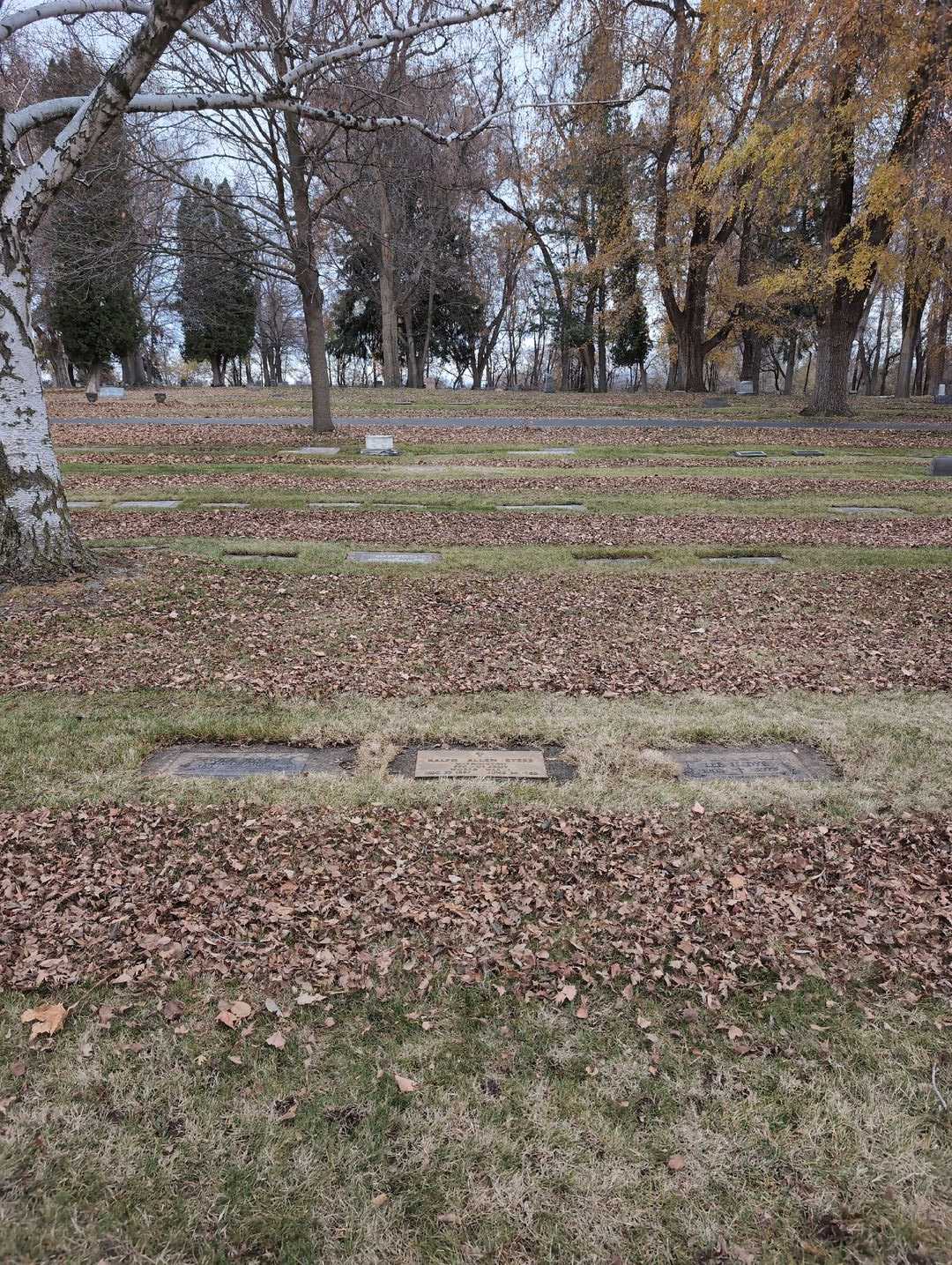 Ralph Allen Byers's grave. Photo 2