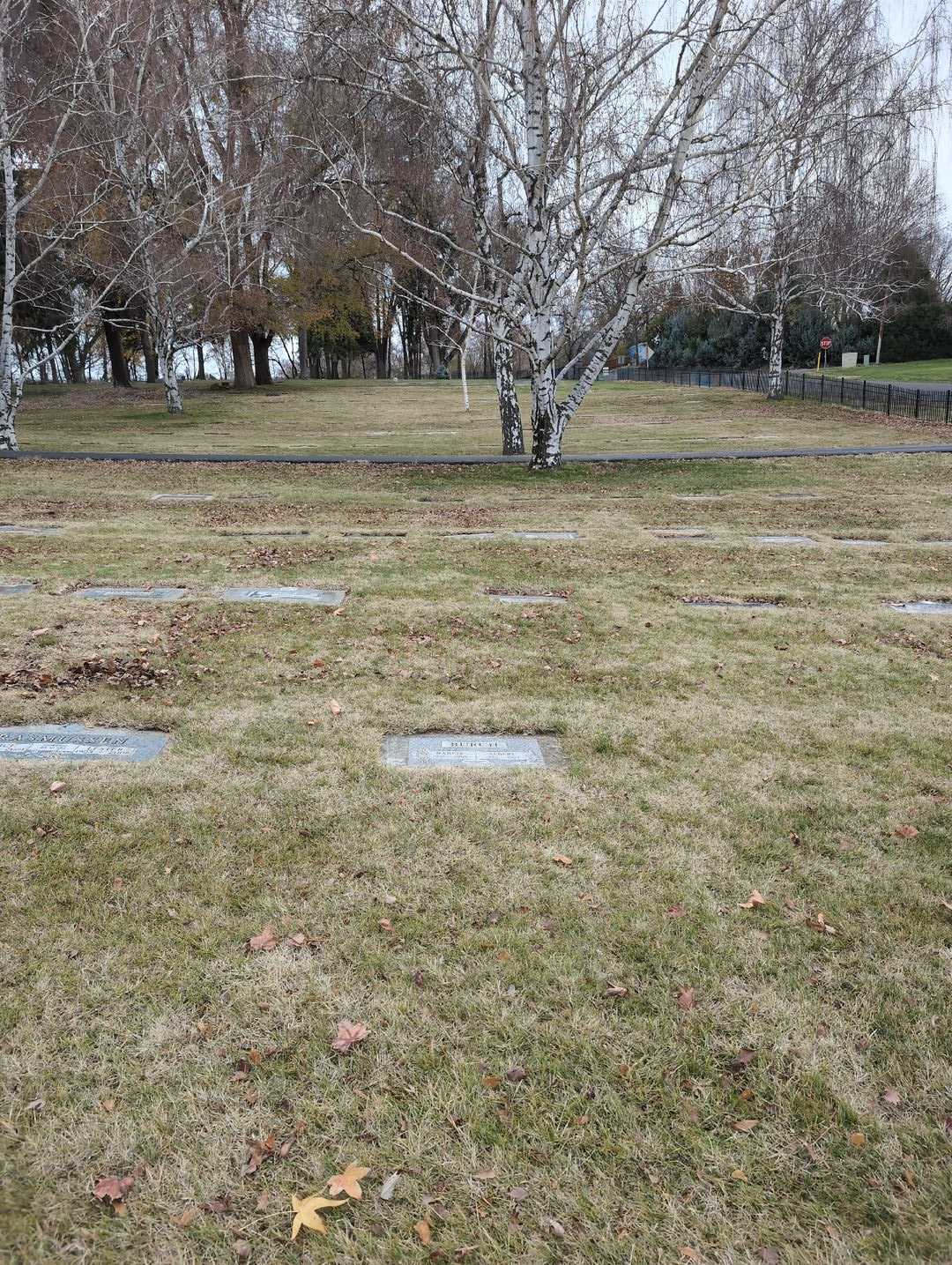 Nancie C. Burch's grave. Photo 2