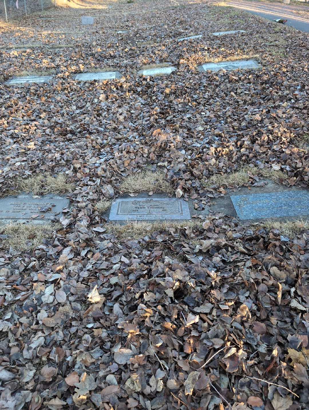 Sylvia Lois Qualley's grave. Photo 2