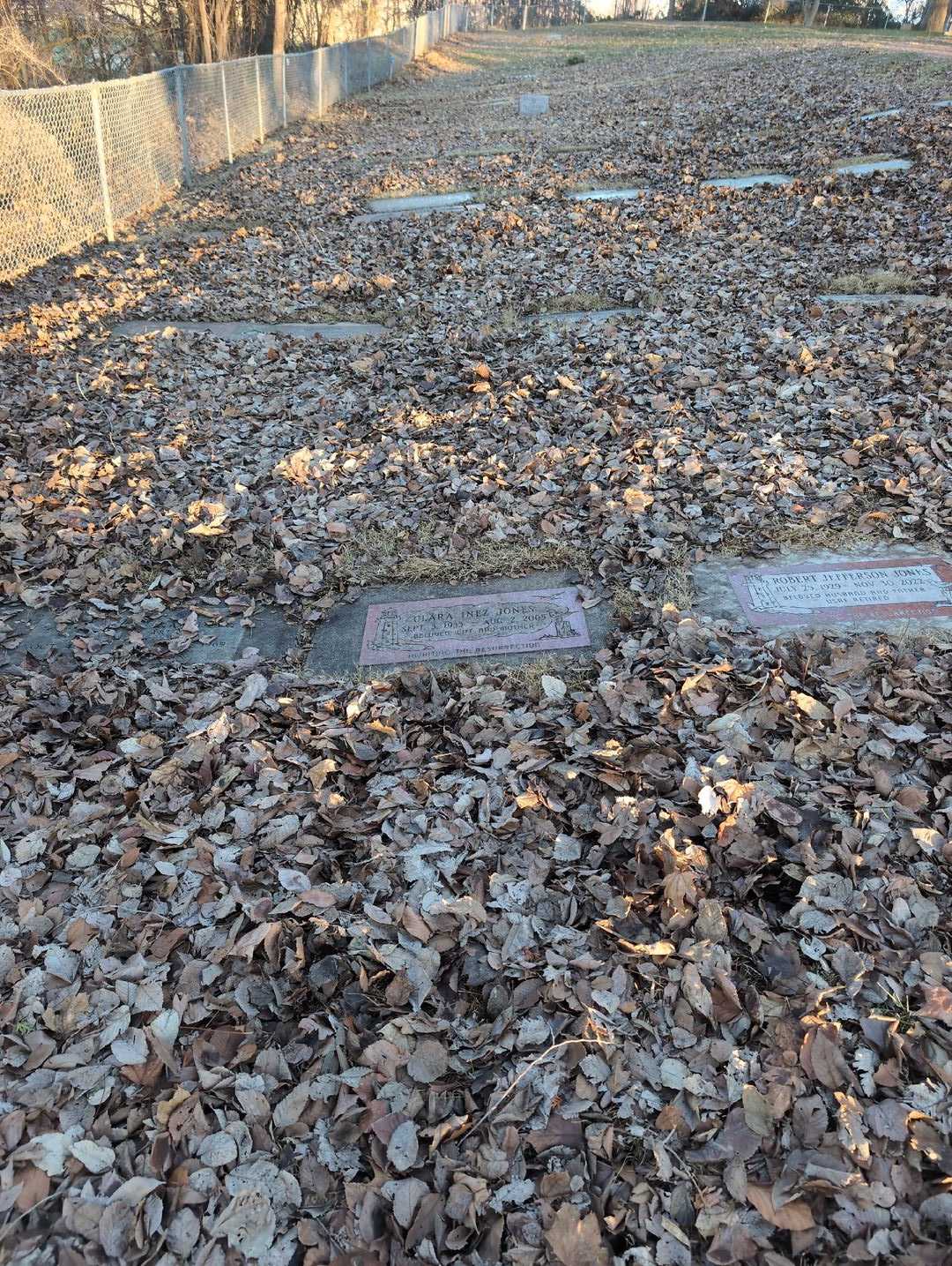 Clara Inez Jones's grave. Photo 2