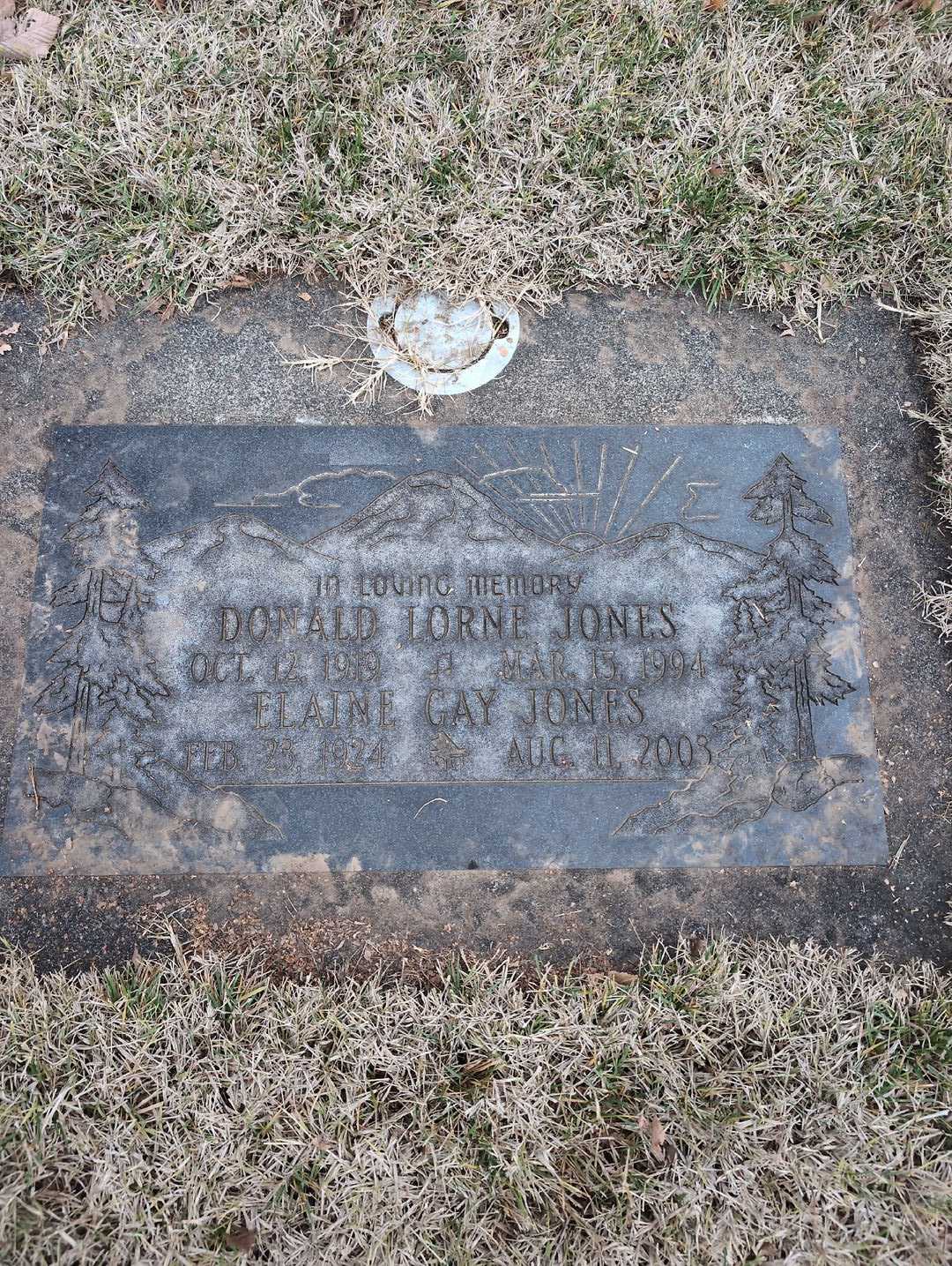 Donald Lorne Jones's grave. Photo 3