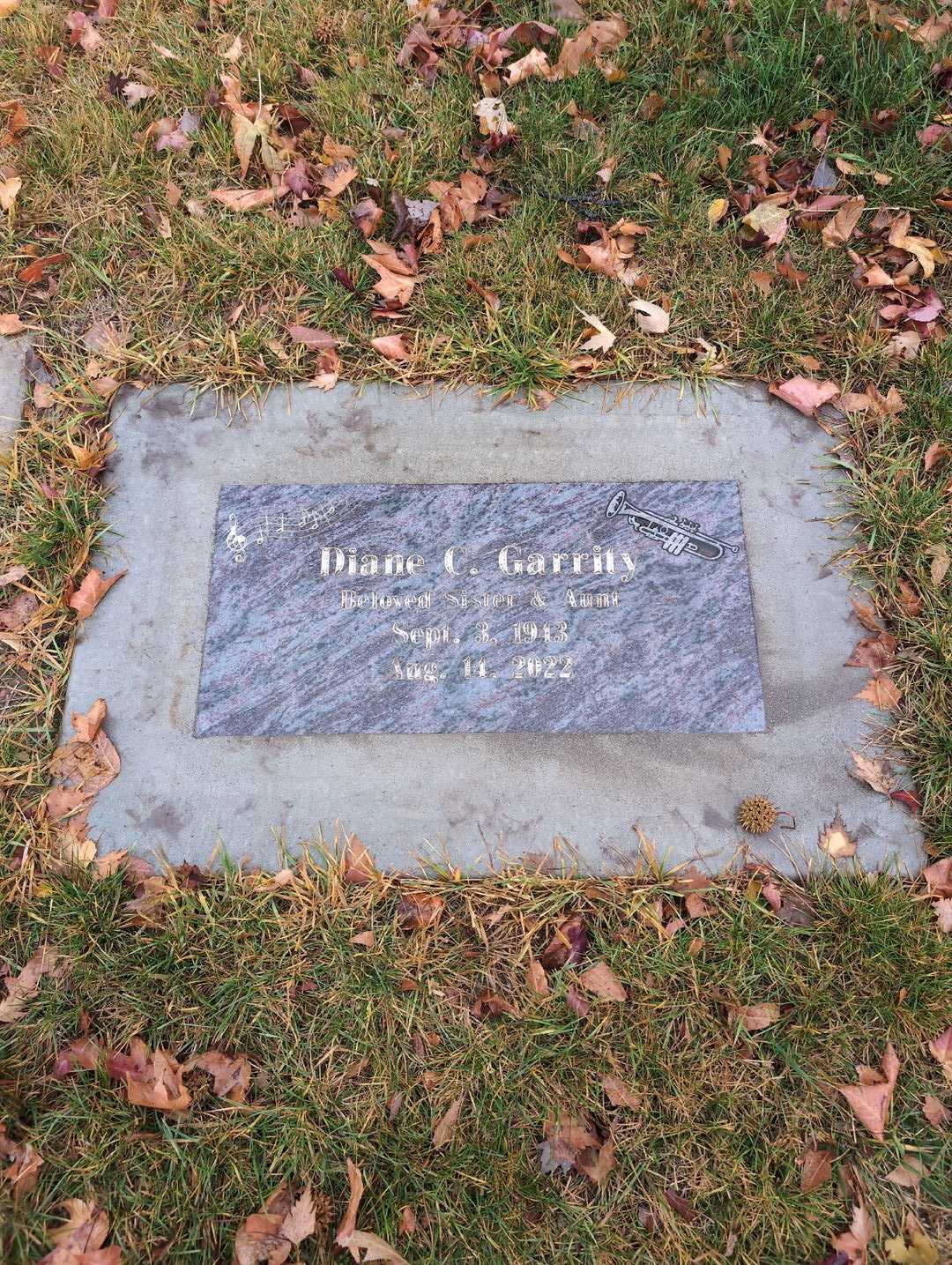 Diane C. Garrity's grave. Photo 3