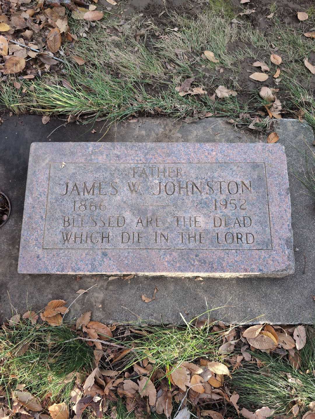 James W. Johnston's grave. Photo 3
